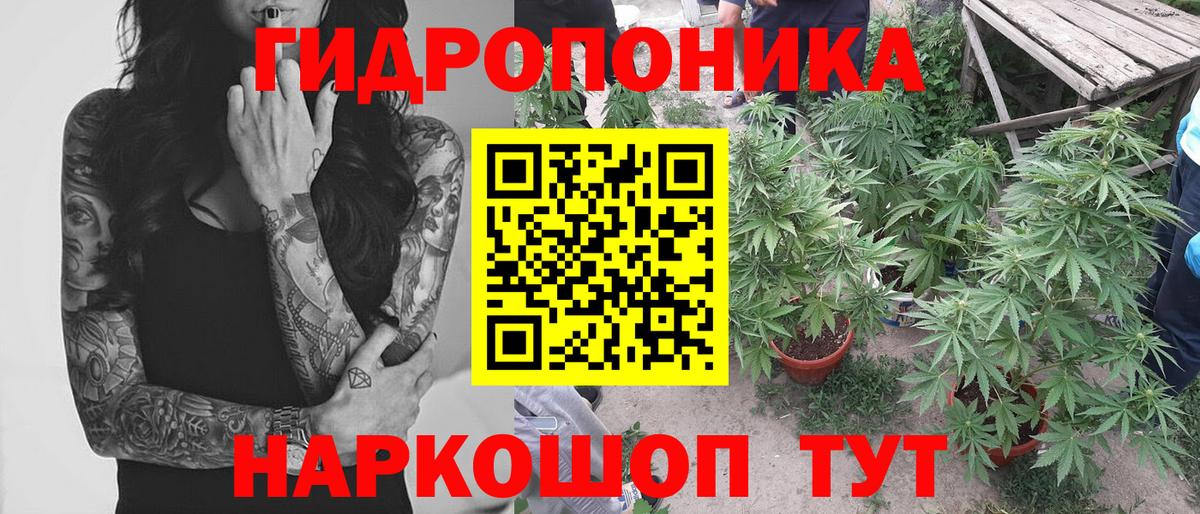 Бошки Шишки ГИДРОПОН  Конопля сатива  Вход с VPN  Ангарск 